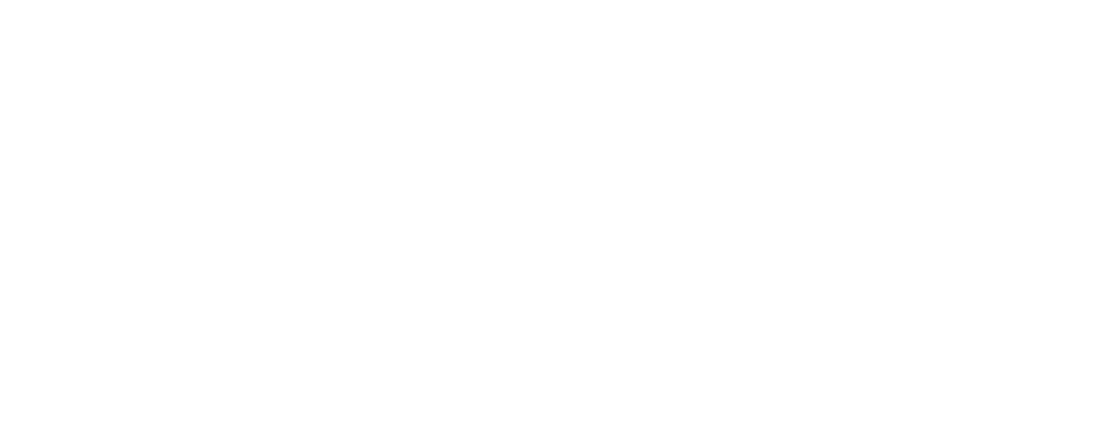 Bear Grylls Logo